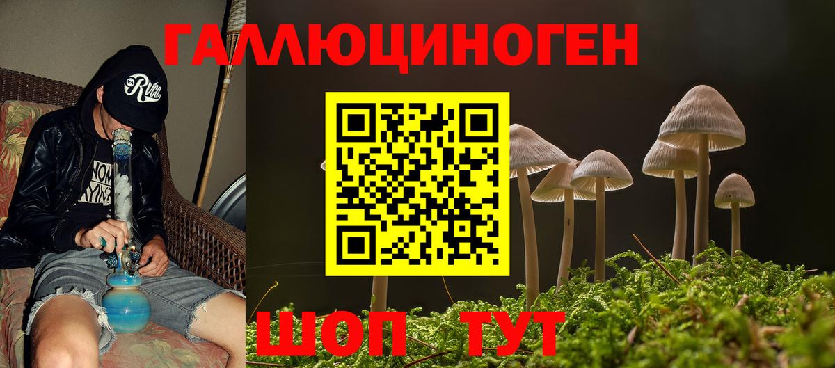 Галлюциногенные грибы Psilocybine cubensis  Вход с VPN  Вичуга 